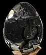 Septarian Dragon Egg Geode - Black Crystals #37117-1